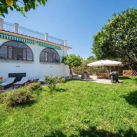 فندق مبيت وإفطار Cerasella ايسكيا